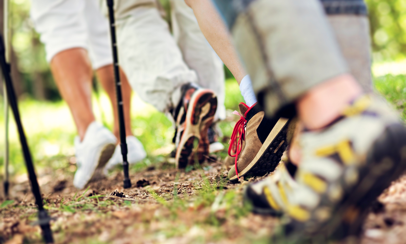 Fitt és rugalmas 60 felett - Nordic walking
